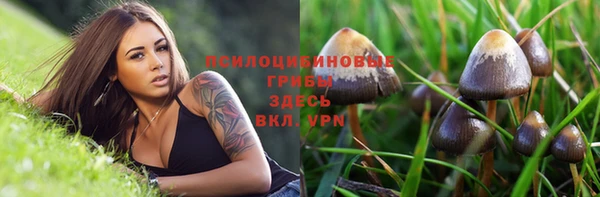 MDMA Алексин